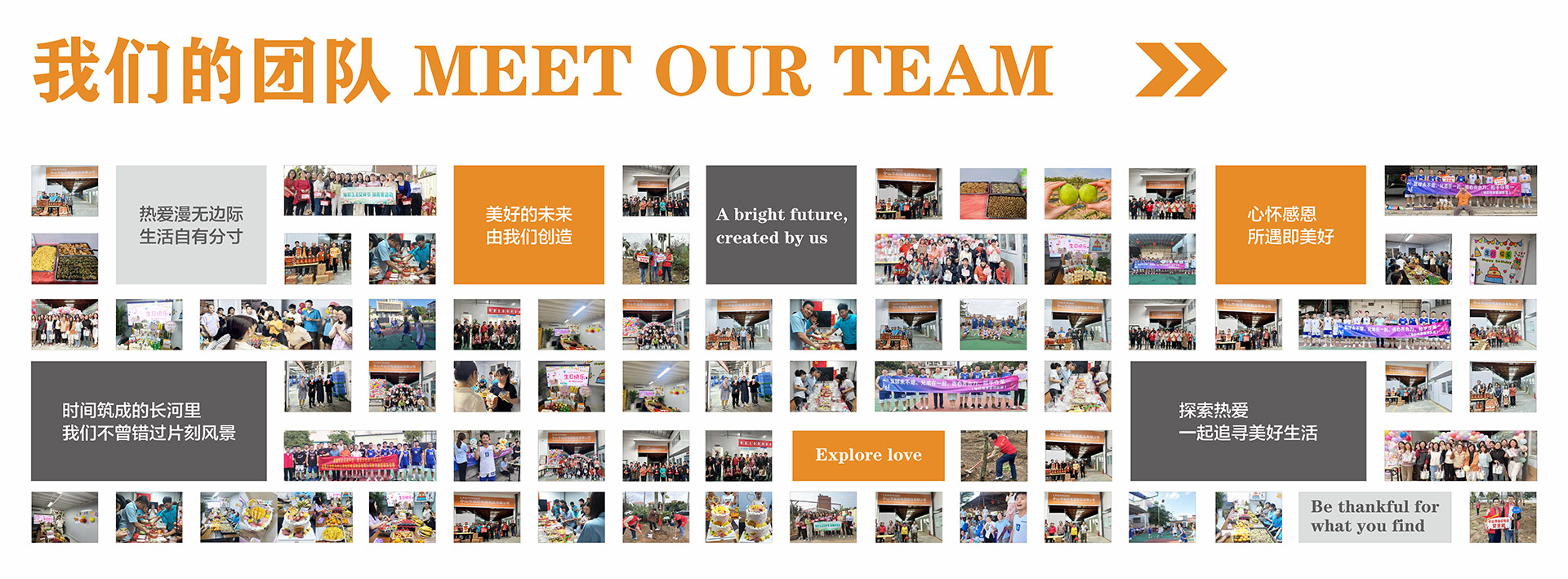 Company_bg_04